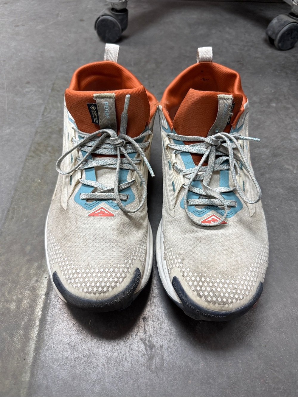 Nike Men's Pegasus Trail 5 Gore-Tex in Light Gray, Orange & Blue